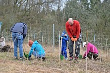 Eishockey, Herren, DEL, Saison 2023-2024, ERC Ingolstadt - Baumpflanzaktion, 02.03.2024