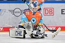 Eishockey, Frauen, DFEL, Saison 2024-2025, ERC Ingolstadt - Eisbären Berlin, 15.02.2025