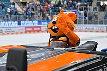 Eishockey, Herren, DEL, Saison 2025-2026, Spiel 21, ERC Ingolstadt - Pinguins Bremerhaven, 23.11.2025