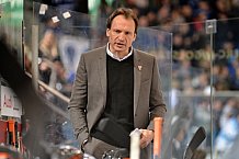 ERC Ingolstadt vs Grizzlys Wolfsburg, Eishockey, DEL, Deutsche Eishockey Liga, Spieltag 37, 13.01.2017