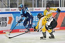 Eishockey, Frauen, DFEL, Halbfinale, Saison 2022-2023, ERC Ingolstadt - Mad Dogs Mannheim, 25.02.2023