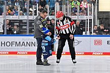 Eishockey, Herren, DEL, Saison 2023-2024, Spieltag 36, ERC Ingolstadt - Kölner Haie, 07.01.2024