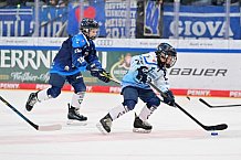 Eishockey, Herren, DEL, Saison 2026-2027, Spieltag 8, ERC Ingolstadt - Löwen Frankfurt, 11.10.2026