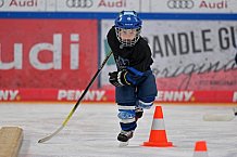 Eishockey, Herren, DEL, Saison 2024-2025, ERC Ingolstadt - Kids On Ice Day, 11.01.2025