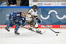 Eishockey, Frauen, DFEL, Vorbereitung, Saison 202-2025, ERC Ingolstadt - St. Pölten, 07.09.2024