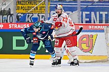 Hockey, Mens, CHL, Season 2025-2026, Regular Season, Round of 16, ERC Ingolstadt - EC Red Bull Salzburg, 12.11.2025