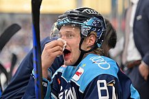 Eishockey, Herren, DEL, Saison 2022-2023, Playoff-Viertelfinale - Spiel 5, ERC Ingolstadt - Düsseldorfer EG, 24.03.2023