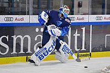 ERC Ingolstadt vs Düsseldorfer EG, DEL, Deutsche Eishockey Liga, Spieltag 44, 14.02.2020