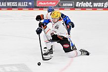 Eishockey, Herren, DEL, Saison 2026-2027, Spieltag 8, ERC Ingolstadt - Löwen Frankfurt, 11.10.2026