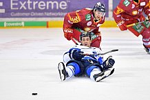 Duesseldorfer EG vs ERC Ingolstadt, Eishockey, DEL, Deutsche Eishockey Liga, Spieltag 47, 17.02.2019