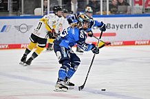 Eishockey, Frauen, DFEL, Saison 2023-2024, ERC Ingolstadt - Mad Dogs Mannheim, 18.02.2024