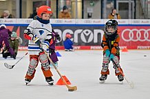 Eishockey, Herren, DEL, Saison 2024-2025, ERC Ingolstadt - Kids On Ice Day, 11.01.2025