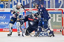 Eishockey, Herren, DEL, Saison 2024-2025, Spieltag 45, ERC Ingolstadt - Iserlohn Roosters, 16.02.2025
