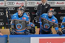 Eishockey, Herren, DEL, Saison 2023-2024, Spieltag 38, ERC Ingolstadt - Adler Mannheim, 14.01.2024