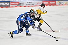 Eishockey, Frauen, DFEL, Saison 2023-2024, ERC Ingolstadt - Mad Dogs Mannheim, 18.02.2024