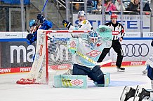 Eishockey, Herren, DEL, Saison 2025-2026, Spiel 23, ERC Ingolstadt - Dresdner Eislöwen, 28.11.2025