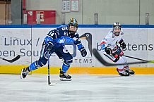 Eishockey, Frauen, DFEL, Saison 2023-2024, ERC Ingolstadt - ECDC Memmingen Indians, 21.01.2024