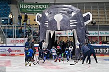Eishockey, Saison 2025-2026, ERC Ingolstadt - Kids On Ice Day, 29.11.2025