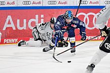 Eishockey, Herren, DEL, Saison 2024-2025, Playoffs Halbfinale, Spiel 5, ERC Ingolstadt - Kölner Haie, 11.04.2025