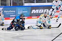 Eishockey, Herren, DEL, Saison 2025-2026, Spiel 44, ERC Ingolstadt - Dresdner Eislöwen, 27.01.2026