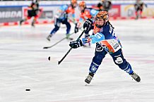 Eishockey, Frauen, DFEL, Saison 2024-2025, ERC Ingolstadt - EC Bergkamener Bären, 05.01.2025