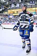 Eishockey, Herren, DEL, Saison 2024-2025, Playoffs Viertelfinale, Spiel 5, ERC Ingolstadt - Nürnberg Ice Tigers, 26.03.2025