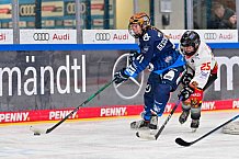 Eishockey, Frauen, DFEL, Saison 2024-2025, ERC Ingolstadt - EC Bergkamener Bären, 05.01.2025