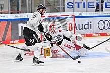 Eishockey, Herren, DEL, Saison 2025-2026, Spiel 16, ERC Ingolstadt - Kölner Haie, 31.10.2025