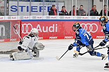 Eishockey, Frauen, DFEL, Saison 2023-2024, ERC Ingolstadt - Amsterdam Tigers, 06.01.2024