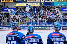 Eishockey, Herren, DEL, Saison 2025-2026, Spiel 47, ERC Ingolstadt - Nürnberg Ice Tigers, 01.03.2026