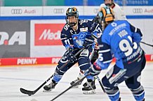 Eishockey, Frauen, DFEL, Saison 2023-2024, ERC Ingolstadt - EC Bergkamener Bären, 28.10.2023