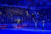 Eishockey, Herren, DEL, Saison 2024-2025, Spieltag 8, ERC Ingolstadt - Grizzlys Wolfsburg, 11.10.2024