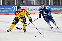 Eishockey, Herren, U20 DNL, Saison 2025-2026, ERC Ingolstadt - Krefeld Pinguine, 10.01.2026