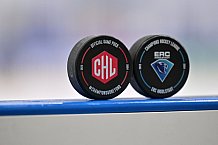 Eishockey, Mens, CHL, Season 2023-2024, ERC Ingolstadt - Färjestad Karlstad, 02.09.2023