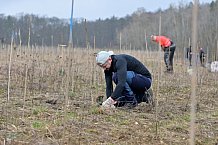 Eishockey, Herren, DEL, Saison 2023-2024, ERC Ingolstadt - Baumpflanzaktion, 02.03.2024