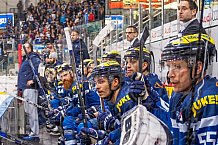 ERC Ingolstadt - Krefeld Pinguine, Eishockey, DEL, Deutsche Eishockey Liga, Spieltag 35, 05.01.2017