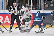 Eishockey, Mens, CHL, Season 2023-2024, ERC Ingolstadt - Färjestad Karlstad, 02.09.2023