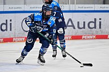 Eishockey, Frauen, DFEL, Saison 2025-2026, Testspiel, ERC Ingolstadt - HC Davos, 14.02.2026