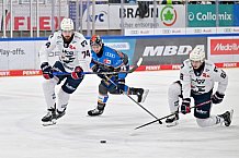 Eishockey, Herren, DEL, Saison 2023-2024, Spieltag 38, ERC Ingolstadt - Adler Mannheim, 14.01.2024
