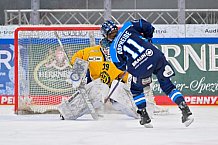 Eishockey, Frauen, DFEL, Saison 2025-2026, Testspiel, ERC Ingolstadt - HC Davos, 14.02.2026