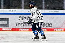 Eishockey, Frauen, DFEL, Saison 2025-2026, ERC Ingolstadt - HK Budapest, 15.11.2025