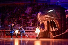 Eishockey, Herren, DEL, Saison 2024-2025, Spieltag 11, ERC Ingolstadt - Pinguins Bremerhaven, 20.10.2024