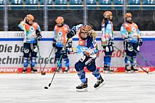 Eishockey, Frauen, DFEL, Saison 2024-2025, ERC Ingolstadt - ECDC Memmingen Indians, 16.11.2024