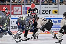Eishockey, Herren, DEL, Saison 2023-2024, Spieltag 51, ERC Ingolstadt - Kölner Haie, 03.03.2024