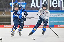 Eishockey, Herren, DEL, Saison 2024-2025, Spieltag 45, ERC Ingolstadt - Iserlohn Roosters, 16.02.2025