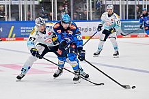 Eishockey, Herren, DEL, Saison 2025-2026, Spiel 23, ERC Ingolstadt - Dresdner Eislöwen, 28.11.2025