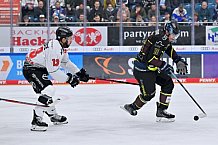 Eishockey, Herren, DEL, Saison 2022-2023, Spieltag 10, ERC Ingolstadt - Kölner Haie, 13.10.2022