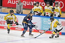Eishockey, Frauen, DFEL, Saison 2022-2023, ERC Ingolstadt - Mad Dogs Mannheim, 20.11.2022