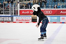Eishockey, Herren, DEL, Saison 2022-2023, Spieltag 37, ERC Ingolstadt - Augsburger Panther, 30.12.2022