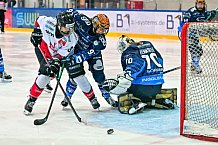 Eishockey, Frauen, DFEL, Saison 2024-2025, ERC Ingolstadt - HK Budapest Roster, 12.01.2025
